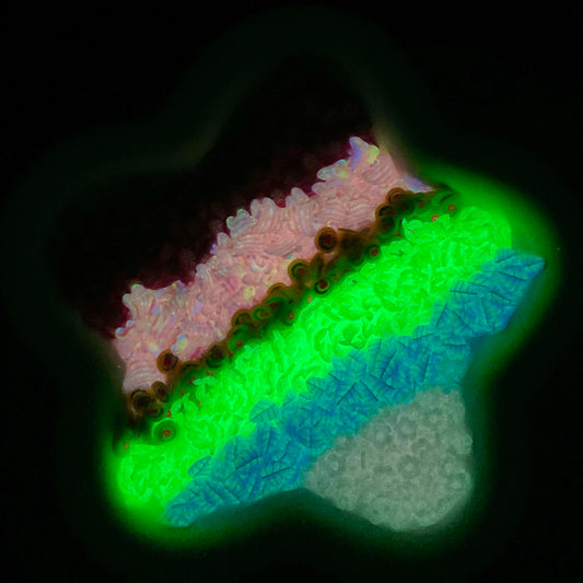 Price Difference / Named Product Payment Link