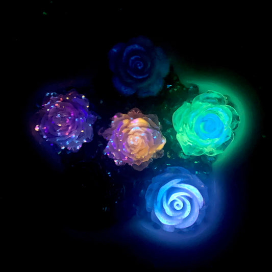 Misty Paradise -glow (Miki)- FC1-F1012