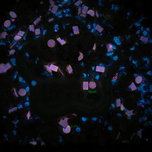 Sweet Dream Nail Mix-glow(miki)- NailC