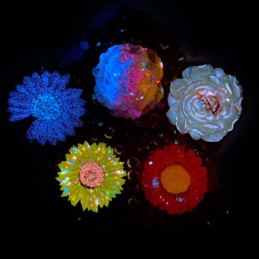 Sunset Shimmer Rose Mix - glow(Miki)-FC1