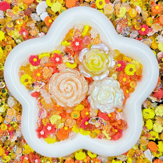 Citrus Fusion Rose+ Nail Charm Mix-glow (Miki)- FC1