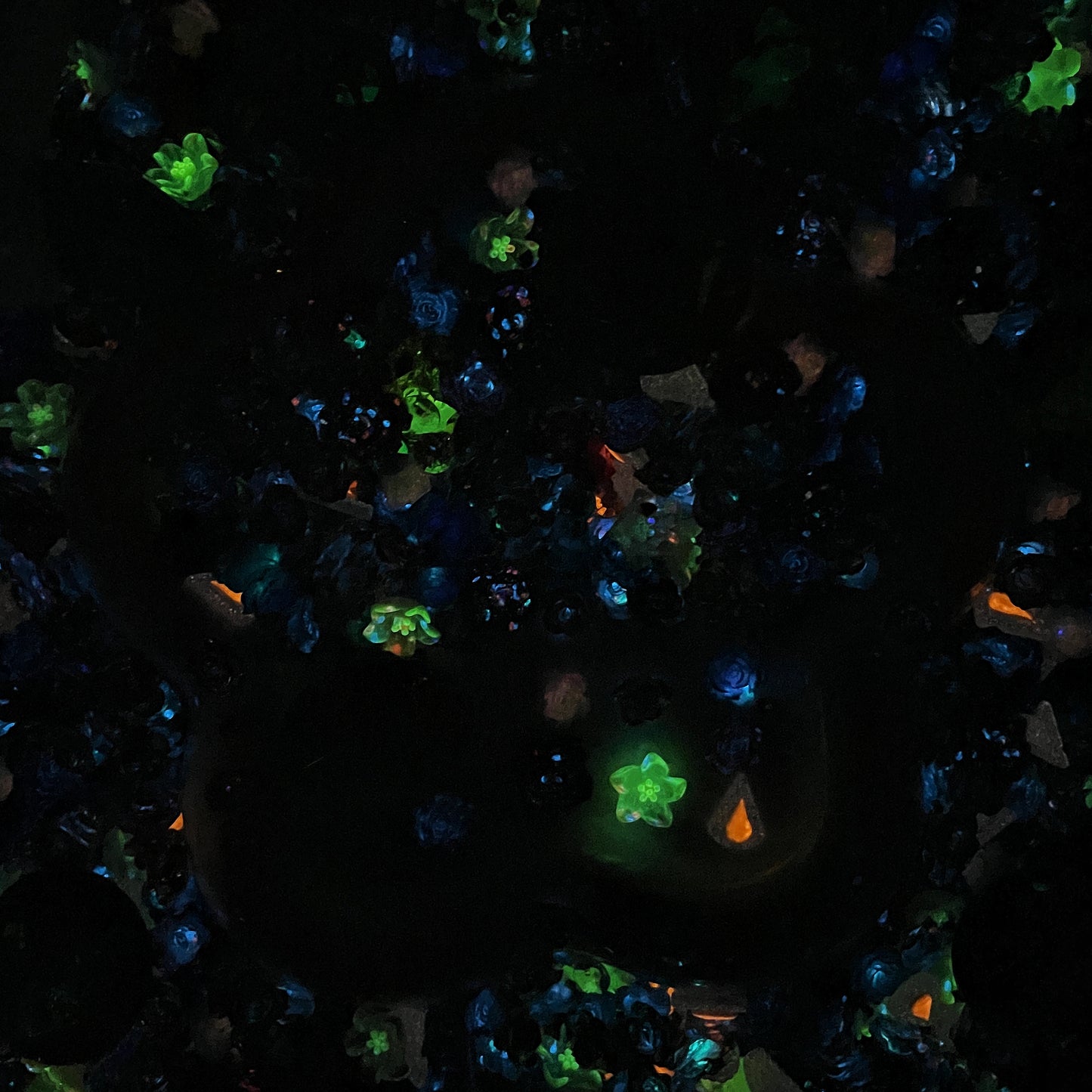 Garden Of The Nile - Nail Mix-glow-NailC