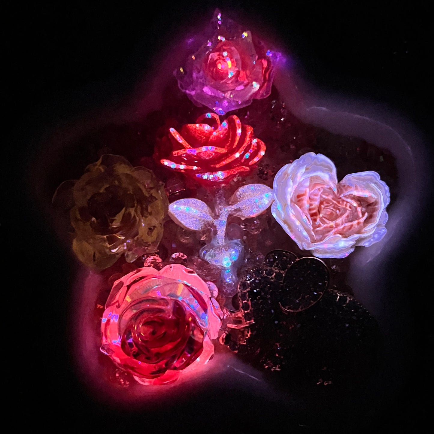 Autumn Flame - Rose Mix-glow(Miki)- FC1