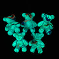 【Buy One Get One Equal Volume For Free】Kosbling Fluid Bear - (glow) - FC1