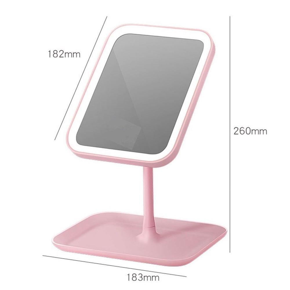 Pink Mirror