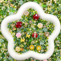 Seed Beads for DIY Jewelry & Crafts