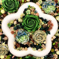 【Buy One Get Equal Volume for Free】- DK03B - Nail Charm+ Rose Mix-glow(Miki)- FC1 1