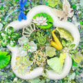 【Buy One Get Equal Volume for Free】- DK01B - Live Mix-(miki)supermix 1