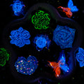 【Buy One Get Equal Volume for Free】 - DK03A - Rose Mix-glow(Miki)- FC1 2