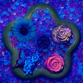 Forget Me Not -  Rose Mix-glow - glow(Miki)- FC1