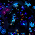 【Buy One Get One Equal Volume For Free】- DK04A - Nail & Beads Mix-glow(miki)- NailC 5