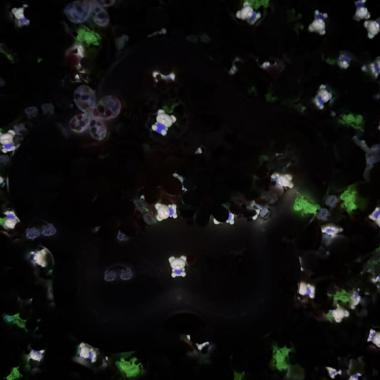 Over The Rainbow - Nail Mix-glow(miki)- NailC