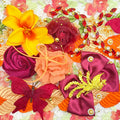【Buy One Get Equal Volume for Free】- DK01D - Fabrics Live Mix-(miki)supermix 1