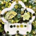 【Buy One Get One Equal Volume For Free】- DK04B - Nail Charm Mix glow(miki)- NailC 1