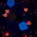 【Buy One Get Equal Volume for Free】 - DK03A - Rose Mix-glow(Miki)- FC1 2