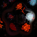 【Buy One Get Equal Volume for Free】 - DK03A - Rose Mix-glow(Miki)- FC1 2