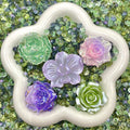 Meadow Dreams - Rose Mix - glow(Miki)-FC1