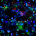 Forest Whispers - Nail & Beads Mix-glow(miki)- NailC