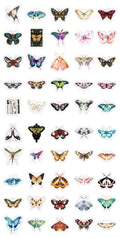 Flutter Garden - Live Mix-(miki)supermix