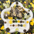 【Buy One Get One Equal Volume For Free】Retro Garden Nail & Beads Mix-glow(miki)- NailC
