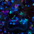 【Buy One Get One Equal Volume For Free】Blossoms Nail & Beads Mix-glow(miki)- NailC