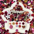 【Buy One Get One Equal Volume For Free】Vintage Desire  - Nail & Beads Mix-glow(miki)- NailC