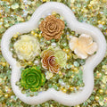 【30%OFF+Buy One Get One Equal Volumn For Free】Woodland Rose Mix - glow(Miki)-FC1