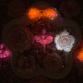 【Buy One Get One Equal Volumn For Free】Ballet Rose Mix - glow(Miki)-FC1