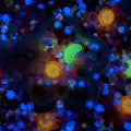 【Buy One Get One Equal Volume For Free】Grapefruit Nail & Beads Mix-glow(miki)- NailC