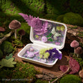 【Buy One Get One Equal Volume For Free】Butterfly Gravel Live Mix - Supermix