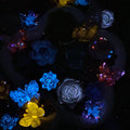 Elegant Symphony - Rose Bouquet Mix - glow
