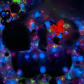【Buy One Get One Equal Volume For Free】Cat Nail & Beads Mix-glow(miki)- NailC