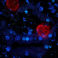 【Buy One Get One Equal Volume For Free】Fire Nail & Beads Mix-glow(miki)- NailC