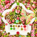 【Buy One Get One Equal Volume For Free】Garden Nail & Beads Mix-glow(miki)- NailC