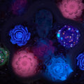 【30%OFF + Buy One Get Equal Volume for Free】Day Of The Dead - Rose Mix-glow(Miki)- FC1