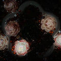 【Buy One Get Equal Volume for Free】Vintage Rose Mix-glow(Miki)- FC1