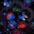 【30%OFF + Buy One Get Equal Volume for Free】To The Bloom & Back - Rose Mix-glow(Miki)- FC1