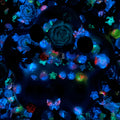 【Buy One Get One Equal Volume For Free】Moon Palace Nail & Beads Mix-glow(miki)- NailC