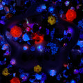 【Buy One Get One Equal Volume For Free】Blood Nail & Beads Mix-glow(miki)- NailC