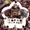 【Buy One Get One Equal Volume For Free】Time Of Dragon - Nail & Beads Mix-glow(miki)- NailC