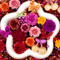 【Buy One Get One Equal Volume For Free】Berry Rose Bouquet Mix - glow