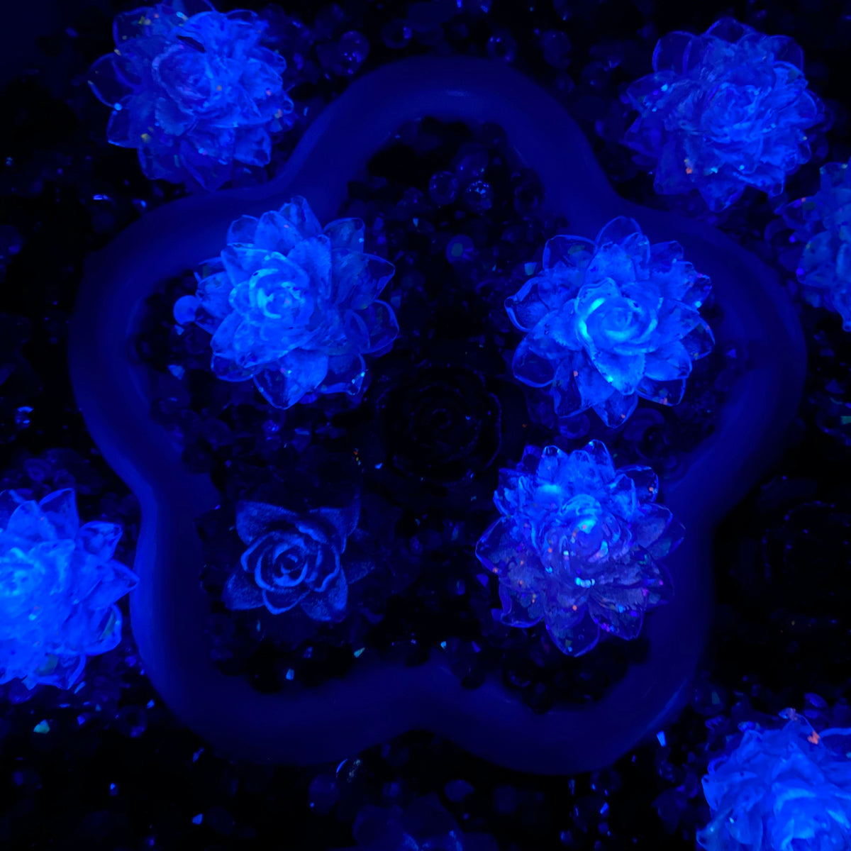 【Buy One Get Equal Volume for Free】Cosmic Queen - Rose Mix-glow(Miki)- FC1