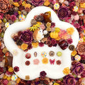【Buy One Get One Equal Volume For Free】Hedgehog Harvest- Nail & Beads Mix-glow(miki)- NailC